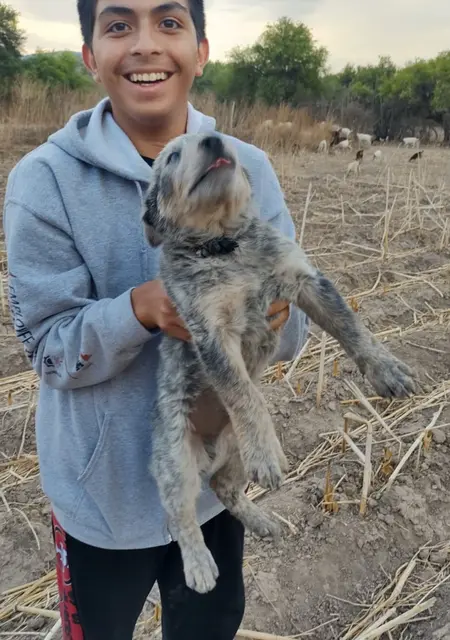 Sebastian из Сьюдад-Виктория, мне 24, познакомлюсь для вирта