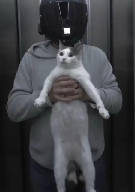 I'm Can, 24, looking to meet for no strings attached in Cardiff