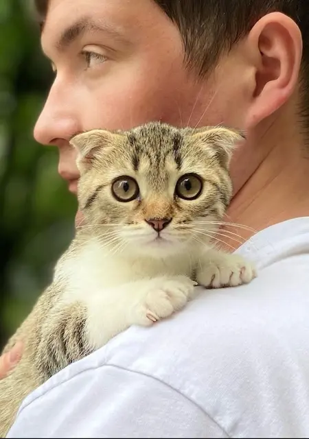 Я Тёма, 32, знакомлюсь на одну ночь в Вышгороде