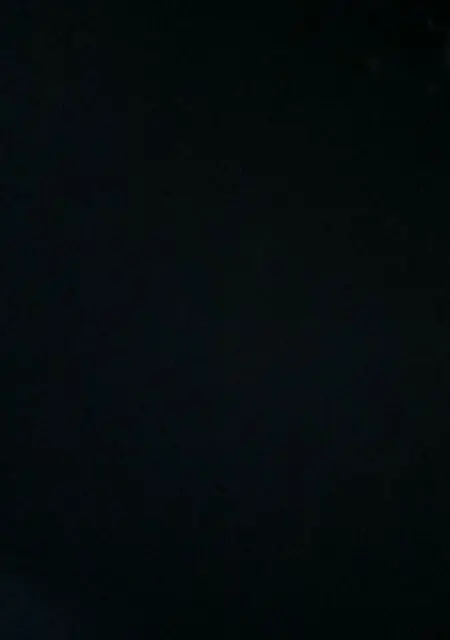 Fia из Стокгольма