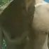Я Hardlover, 42, из Харькова, ищу знакомство для дружбы