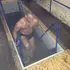 Я Константин, 36, из Сургута, ищу знакомство для регулярного секса