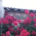 Я Джони, 52, знакомлюсь без обязательств в Одессе