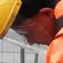 Я Гоша, 41, знакомлюсь для секса на одну ночь в Твери